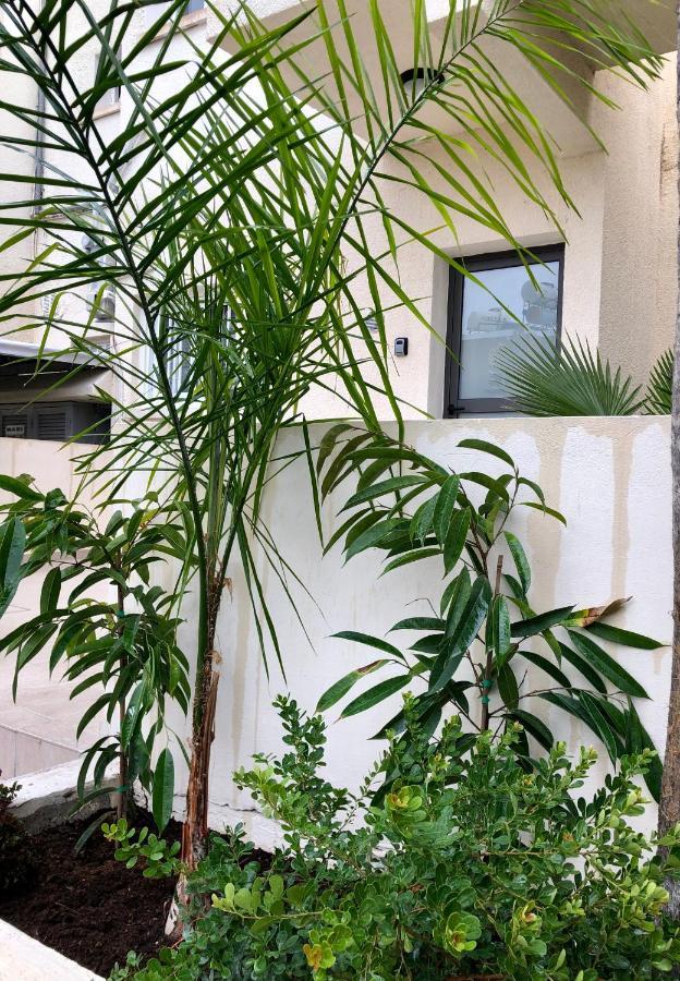 דירות Paphos Luxury Industrial House 8 מראה חיצוני תמונה